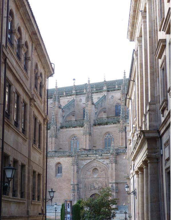 Las Catedrales De Salamanca Rum bild